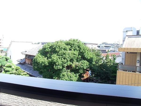 View photos from the dwelling unit