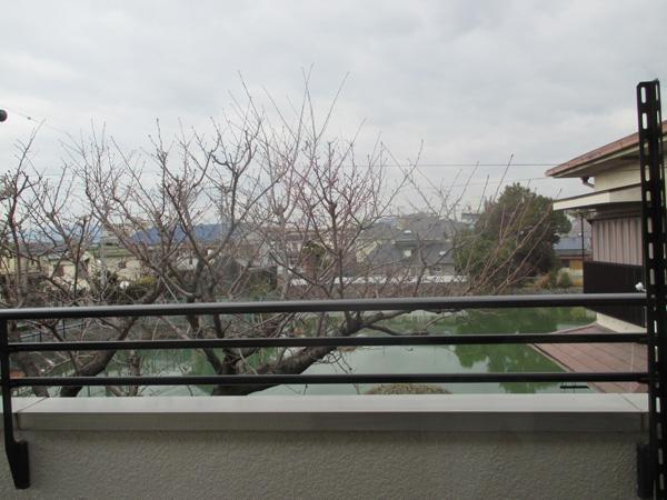 View. View
