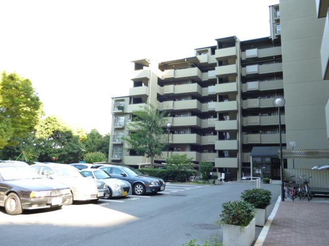 Parking lot. Common areas