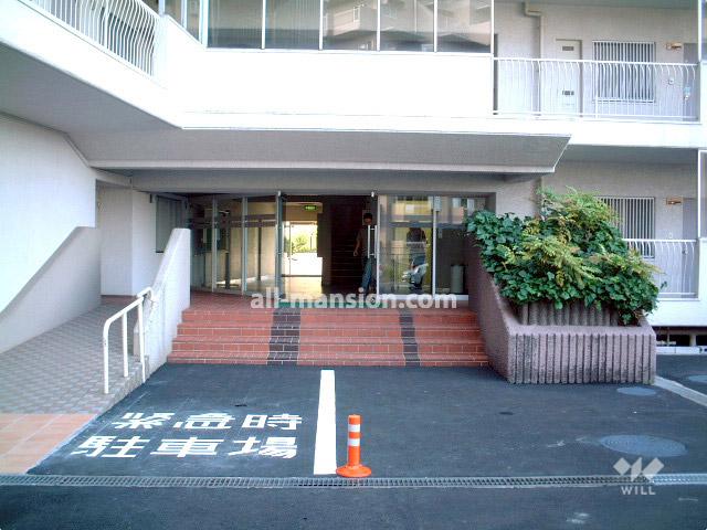 Entrance. Common areas