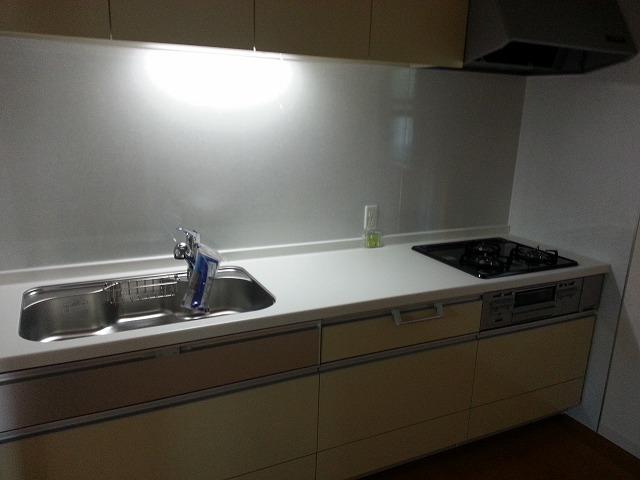 Kitchen. Indoor (12 May 2013) Shooting