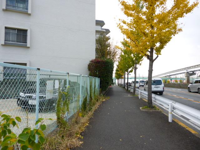 Other. North road