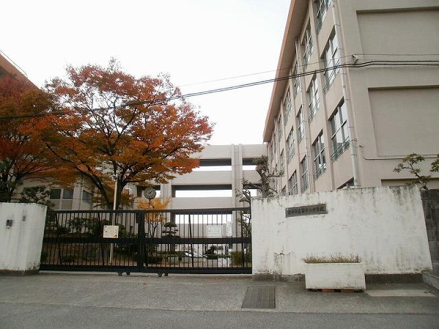 Junior high school. Toyonaka 1000m up to the 12 junior high school