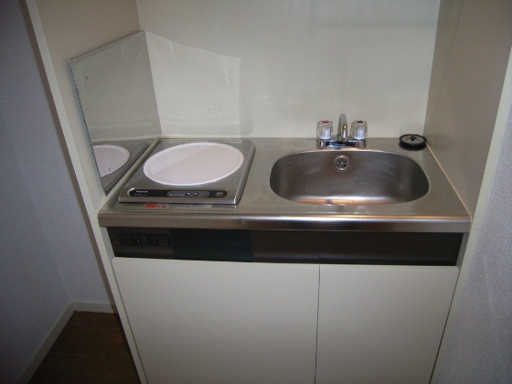 Kitchen. Popular IH heater! !