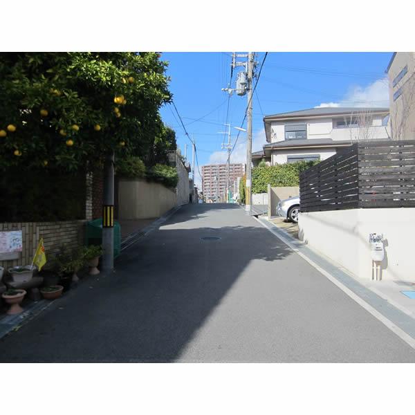 Local photos, including front road. Local (12 May 2013) Shooting