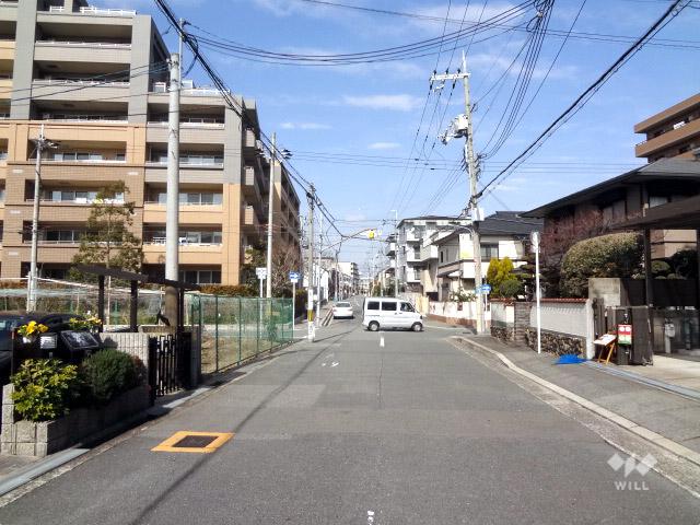 Local photos, including front road