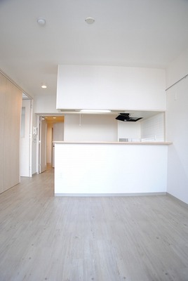 Living and room. Living with a counter kitchen! Also impetus conversation with family!