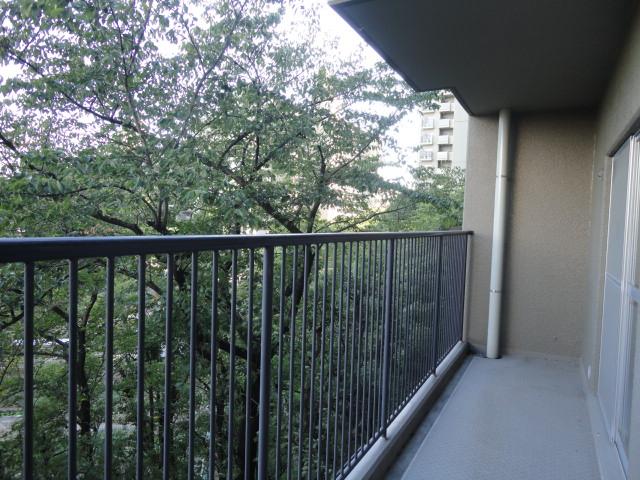 Balcony. Local (10 May 2013) Shooting
