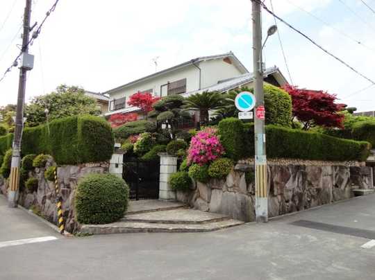 Local appearance photo. appearance