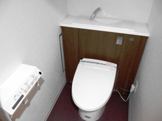 Toilet. Indoor (12 May 2013) Shooting