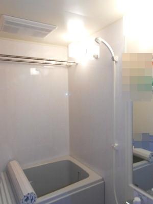 Bathroom. Indoor (11 May 2013) Shooting