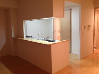 Kitchen. Counter kitchen (December 2013 shooting)