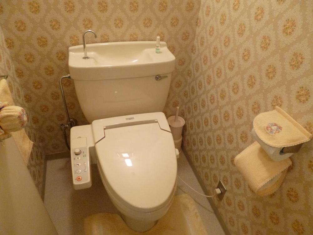 Toilet. Room (August 2013) Shooting