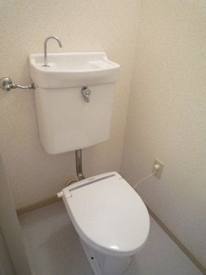 Toilet. Your toilet is overflowing cleanliness