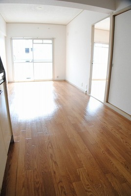 Living and room. Facing south in a bright living room