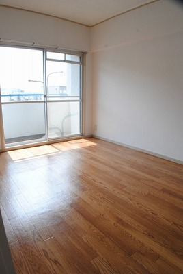 Living and room. Bright Western-style on the south-facing