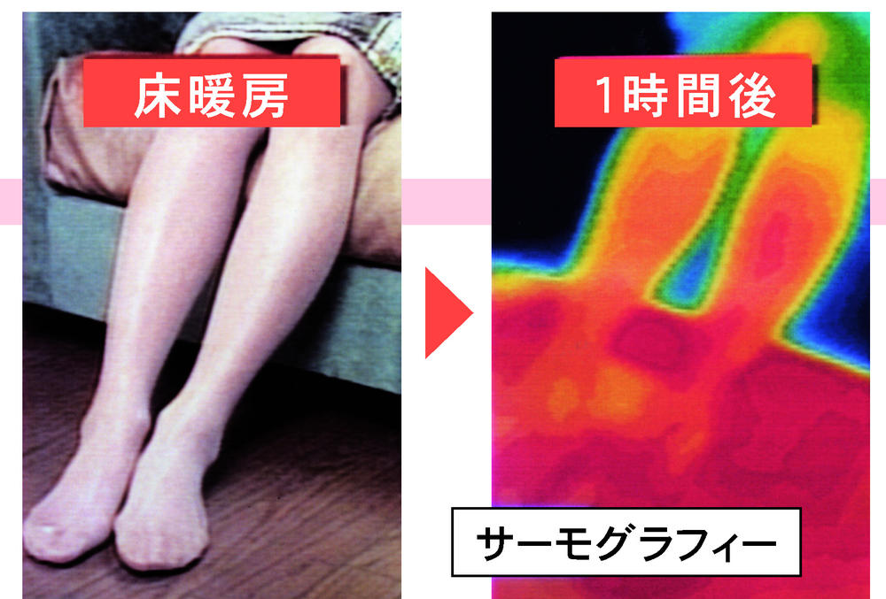 Other. Living floor heating "nook" with