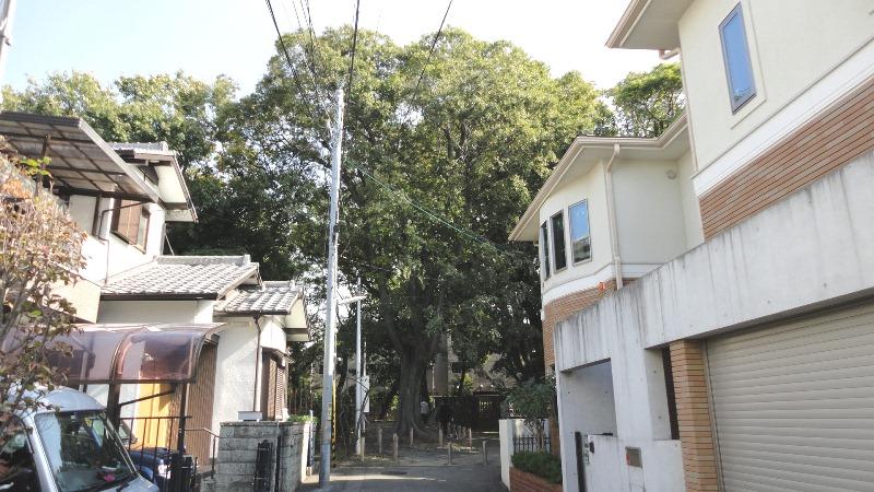 Local photos, including front road. This quiet environment Local (11 May 2013) Shooting