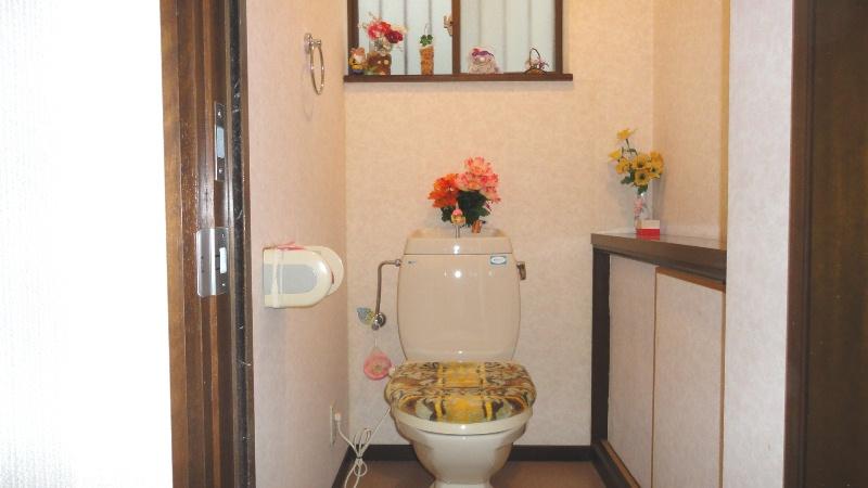 Toilet. The first floor toilet