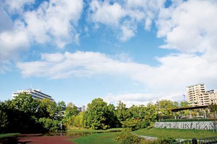 Other Environmental Photo