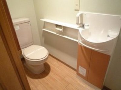 Toilet. Stylish toilet with a very clean feeling