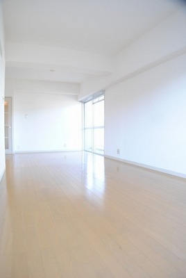 Living and room. Bright living