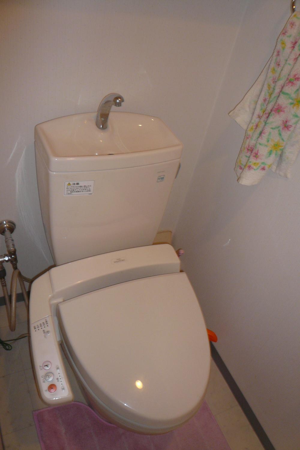 Toilet. Clean toilet