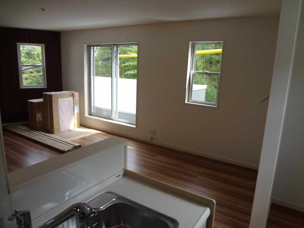 Living. The view from the kitchen to the living room