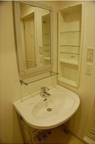 Washroom. Independent wash basin