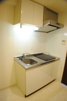Kitchen. 2-neck IH system kitchen