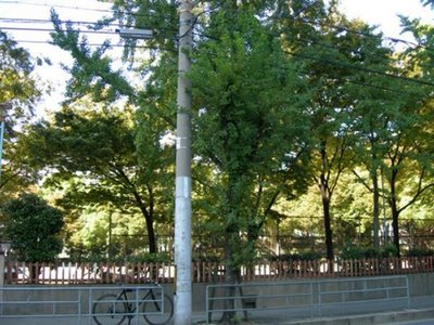 park. 100m to the park (park)