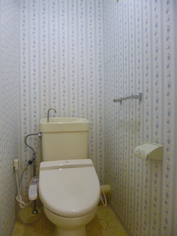 Toilet. There toilet seat with wash warm function