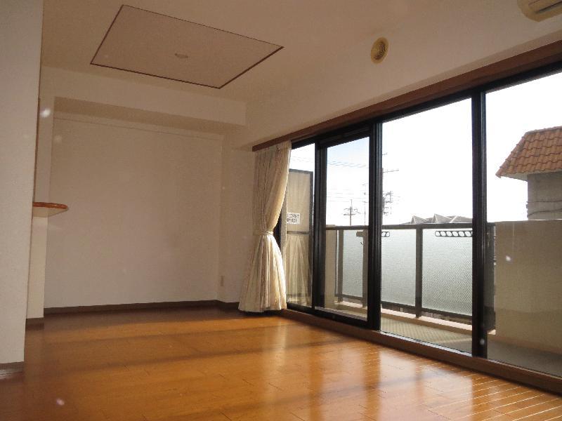 Living and room. Living
