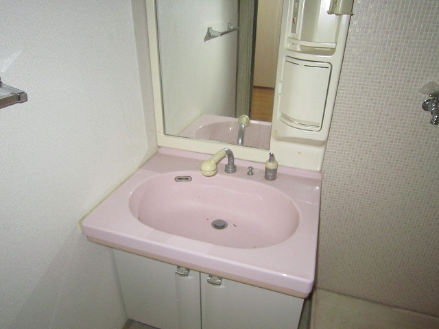 Washroom. Shampoo dresser