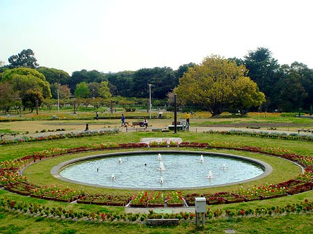 park. 1349m to Crane (park)
