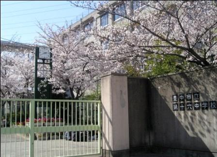 Other. Sixteenth junior high school