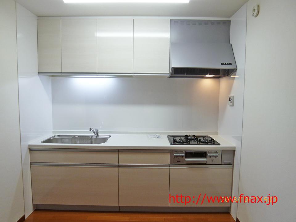 Kitchen. Indoor (10 May 2013) Shooting