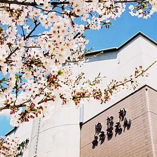 kindergarten ・ Nursery. Yutaka 400m to kindergarten