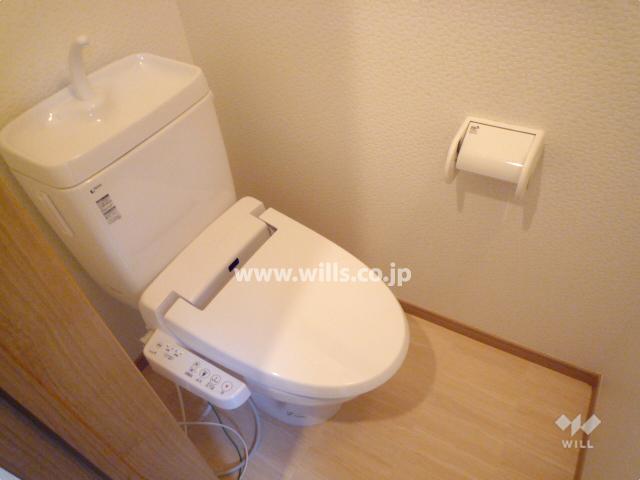 Toilet. First floor toilet