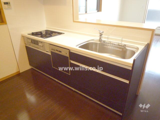 Kitchen. Counter Kitchen