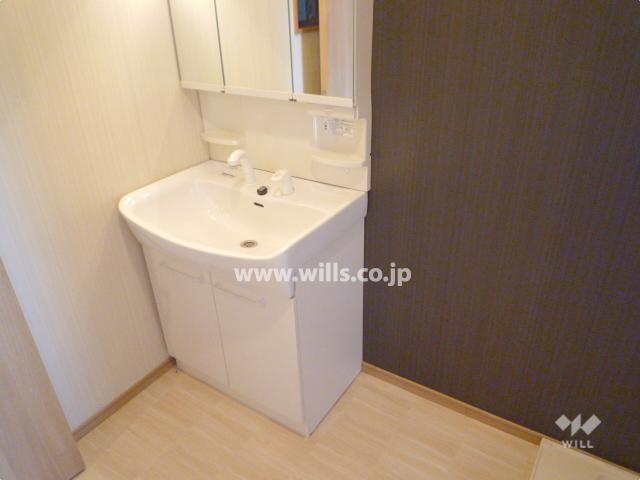 Wash basin, toilet. Shampoo dresser