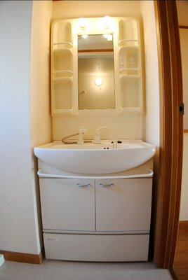 Washroom. Independent wash basin