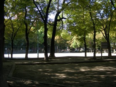 park. 450m to the park (park)