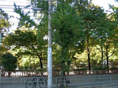 park. 450m to the park (park)