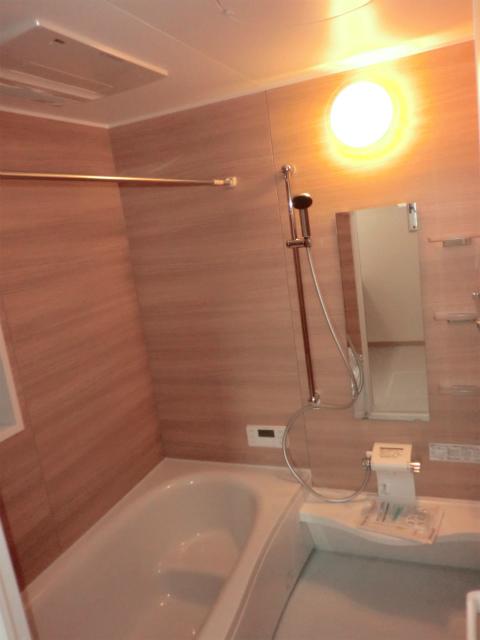 Bathroom. Indoor (10 May 2013) Shooting