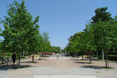 Other Environmental Photo. Until Crane 2765m