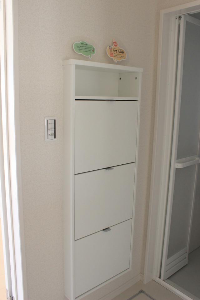 Other. On the side of the basin, Storage using a niche