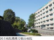 Hospital. National Hospital Organization Toneyama 800m to the hospital