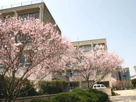 Junior high school. Article 700m until the third junior high school