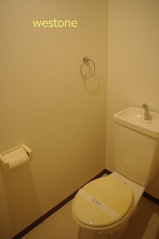 Toilet. Toilet with cleanliness.